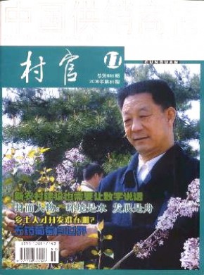 中国供销商情.村官期刊